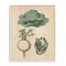 Stupell Industries Vintage Garden Vegetables Framed Giclee Wall Art Design by Daphne Polselli